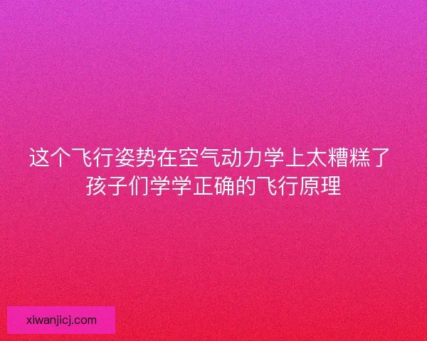 这个飞行姿势在空气动力学上太糟糕了 孩子们学学正确的飞行原理