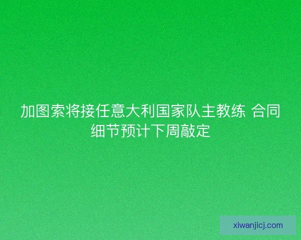 加图索将接任意大利国家队主教练 合同细节预计下周敲定
