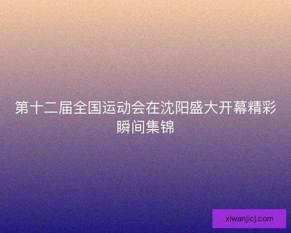 第十二届全国运动会在沈阳盛大开幕精彩瞬间集锦